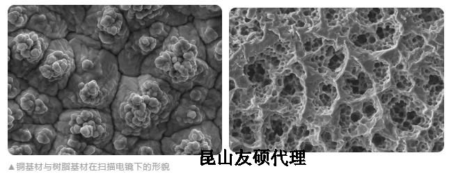 青浦蔡司青浦扫描电镜